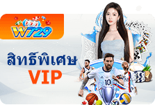 สิทธิพีเศษ VIP